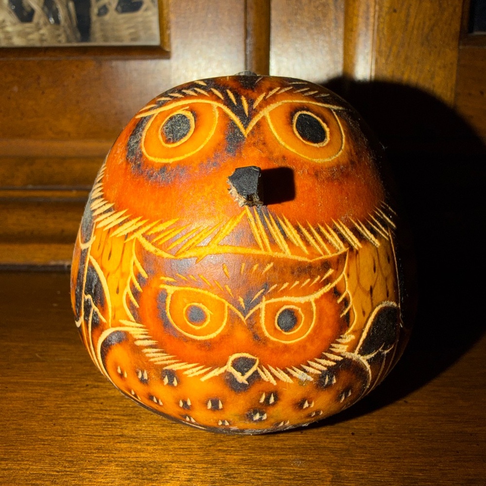 Handcrafted Owl Gourd Decor